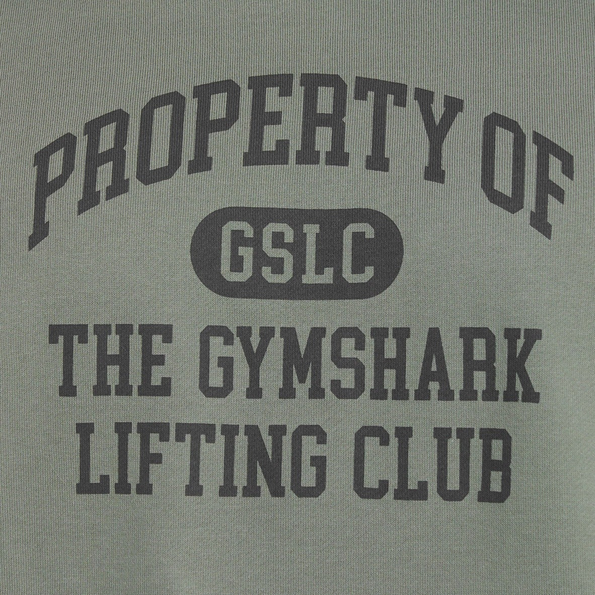 Hoodie Gymshark Property